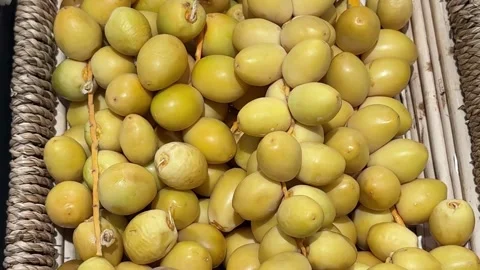 Raw dates on a branch palm fruit tasty snack fresh gourmet food Stock Footage 329863413