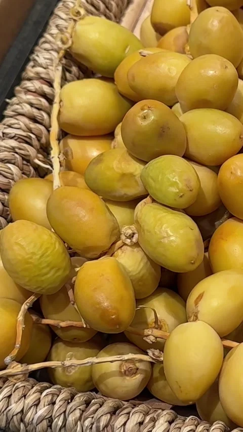 Raw dates on a branch palm fruit tasty snack fresh gourmet food Stock Footage 329863421