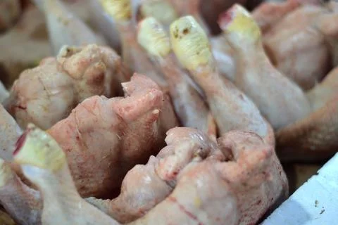 Raw dead chicken 写真素材