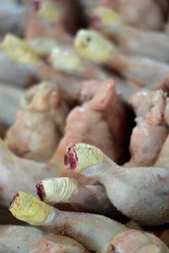 Raw dead chicken Stock Photos