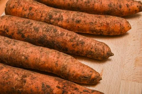 Raw dirty carrots on the table Stock Photos