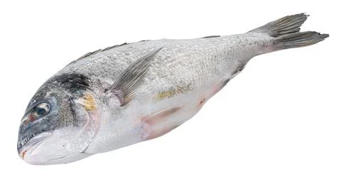 Raw dorado fish with clipping patch Stock Photos