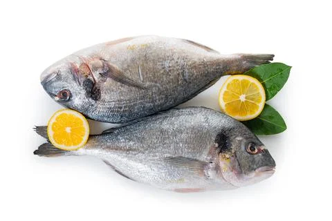 Raw dorado fish Stock Photos