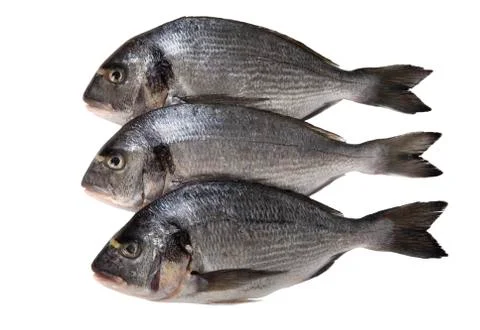 Raw dorado fish on white background. Stock Photos