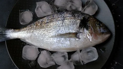 Raw dorado or bream on ice. Mediterranean cuisine, seafood, healthy eating. Stock Footage 149867660