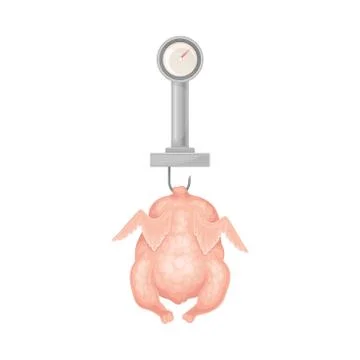 Raw Dressed Chicken Hanging on Hook as Weighing Process Vector Illustration Stock Illustration