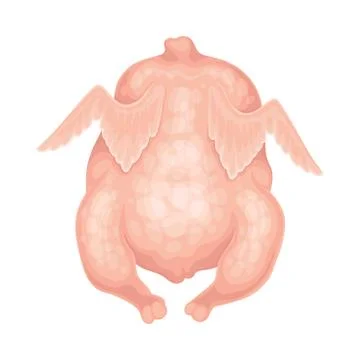 Raw Dressed Chicken Isolated on White Background Vector Illustration Illustrazione stock