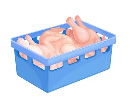 Raw Dressed Chicken Rested in Plastic Basket Vector Illustration Stock Illustration