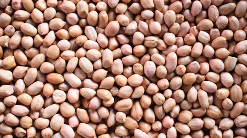 Raw dried peanuts Stock Footage 152201053