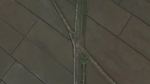Raw drone video in rice fields Stock Footage 285386037