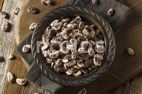 Raw Dry Organic Christmas Beans Stock Photos