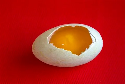 A raw duck egg in your shell. Stock Photos