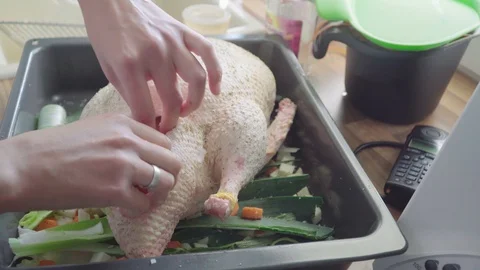 Raw duck is filled with vegetables and prepared for the oven Vídeo Stock 97383760