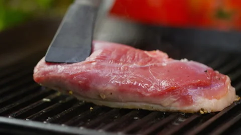 Raw Duck Video stock 146132698