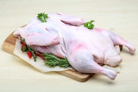 Raw duck Stock Photos