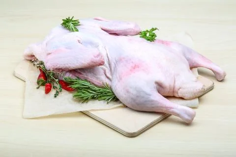 Raw duck Stock Photos