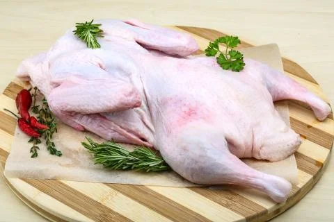 Raw duck Stock Photos