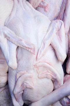 Raw ducks in preparation Stock Photos