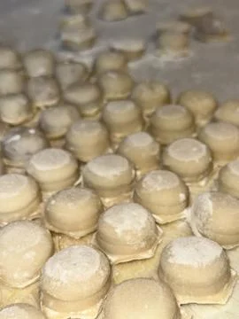 Raw Dumplings on Floured Surface 写真素材