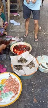 Raw eel Stock Photos