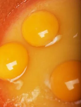 Raw egg in a bowl 스톡 사진