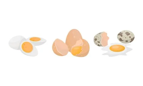 Raw Egg with Broken Shell, Boiled and Scrambled Eggs Vector Set Stock Illustration