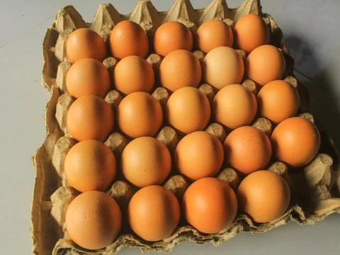 Raw egg Chik Foto stock