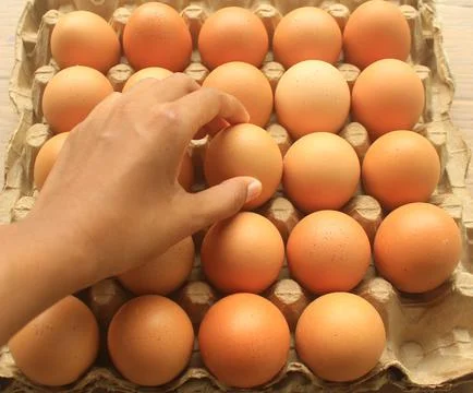 Raw egg Chik Foto stock