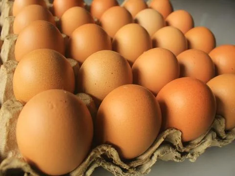 Raw egg Chik Stock Photos