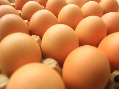 Raw egg Chik Foto stock