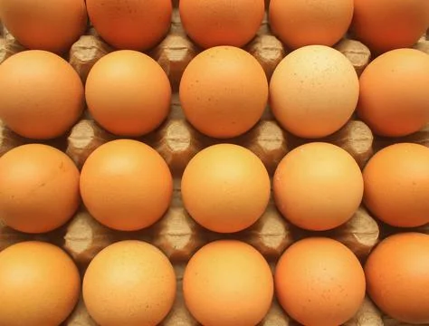 Raw egg Chik Foto stock