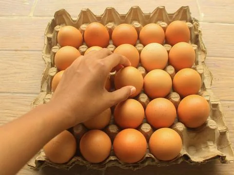 Raw egg Chik Foto stock