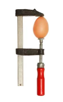 Raw egg in clamp Stock Photos