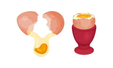 Raw Egg with Cracked Shell Showing Poured Yolk Vector Set Stock Illustration