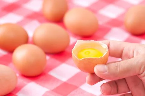 Raw egg on egg shell Stock Photos