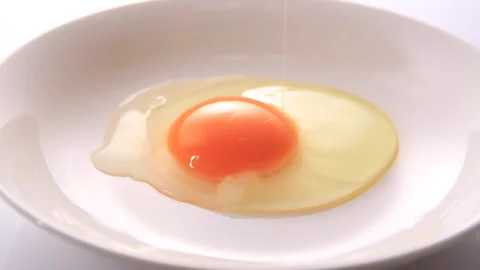 Raw egg Stock-Footage 161843611