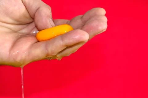 A raw egg open in the hand Stock Photos