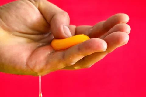 A raw egg open in the hand Stock Photos