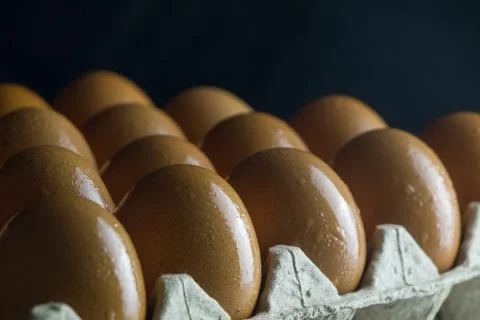 Raw Egg on package Stock Photos