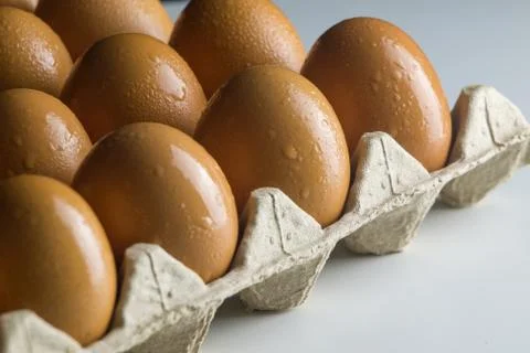 Raw Egg on package Stock Photos