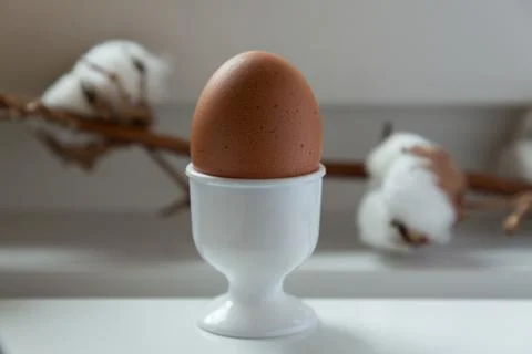 Raw egg Stock Photos