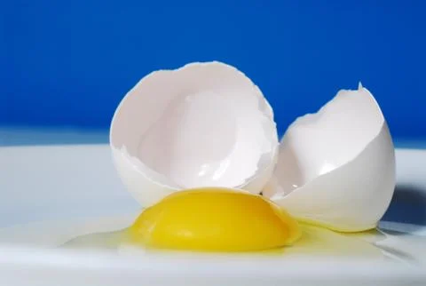 Raw Egg Stock Photos