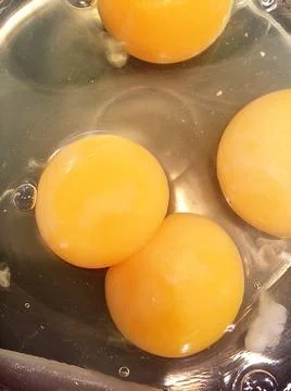  Raw egg with two yolks Raw egg with two yolks Copyright: xZoonar.com/Anax... Stock-Fotos