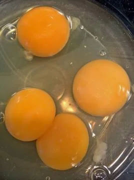  Raw egg with two yolks Raw egg with two yolks Copyright: xZoonar.com/Anax... Stock-Fotos