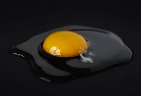 Raw egg with yellow yolk and transparent protein (albumen) on black background Stock Photos