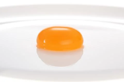 Raw egg yolk on a white background. Stock Photos