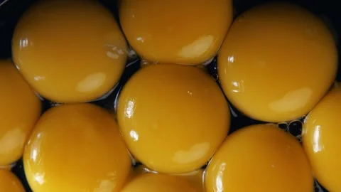 Raw Egg Yolks Close-Up – Macro Top View Vidéo 322028328