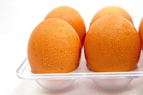 Raw eggs and drops in plastic packages on a white background Just taken out o Stock Photos