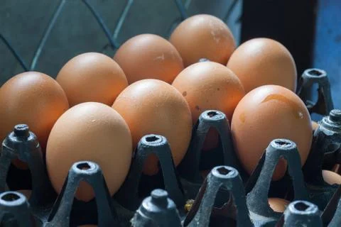 Raw eggs in black package in the kitchen restaurant Stock Photos