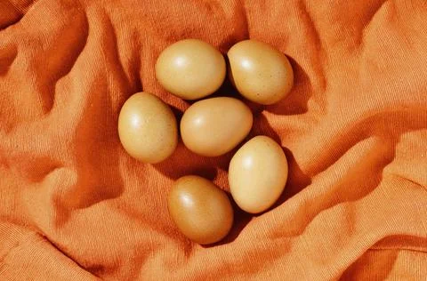Raw eggs on colored background Stock-Fotos